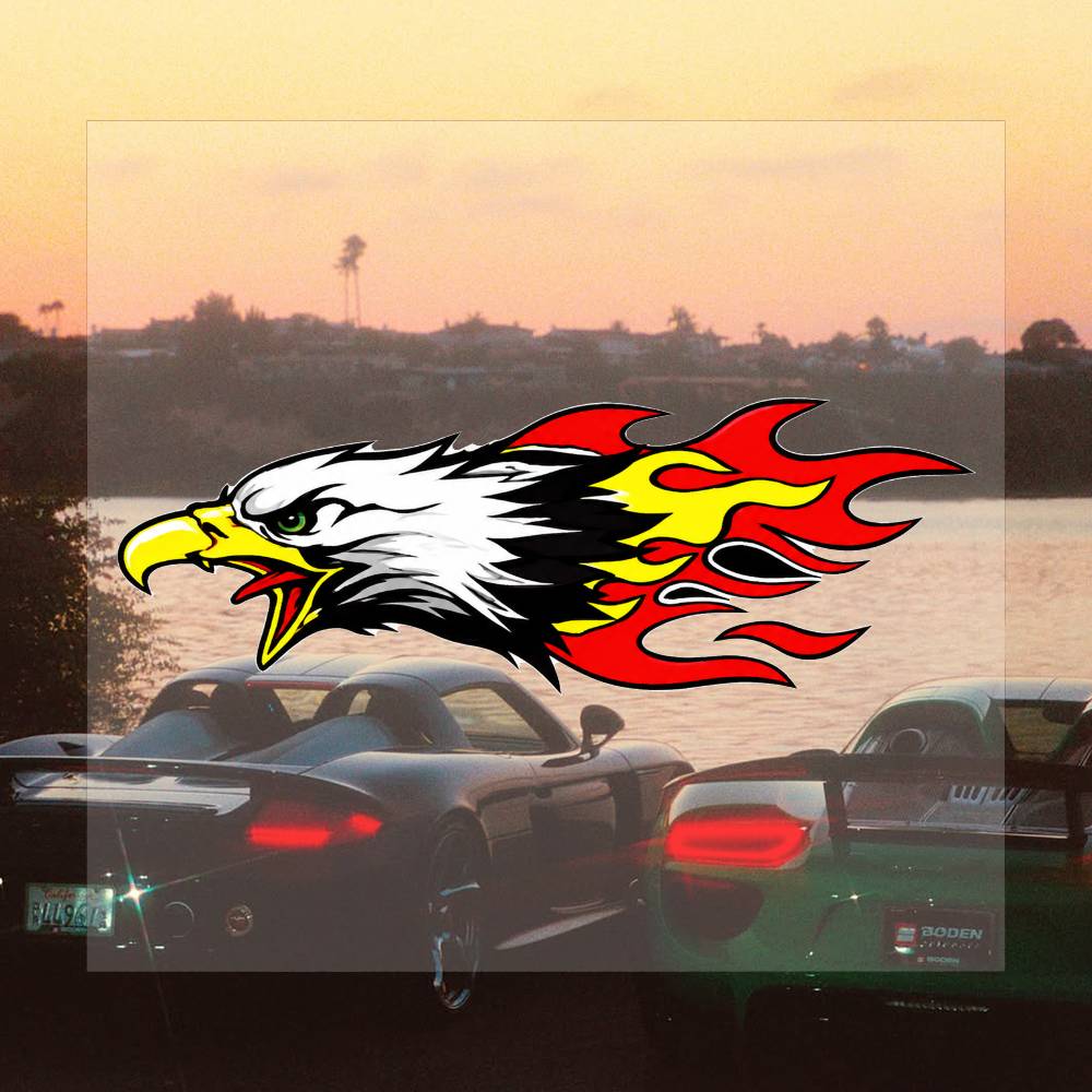 Kreatywne naklejki Flame Eagle – Laptop Accessories Travel Case recenzja i cena